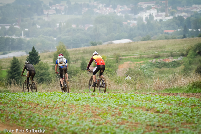 Fotografie číslo: 20130921-9738