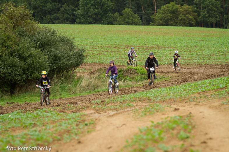 Fotografie číslo: 20130921-8937