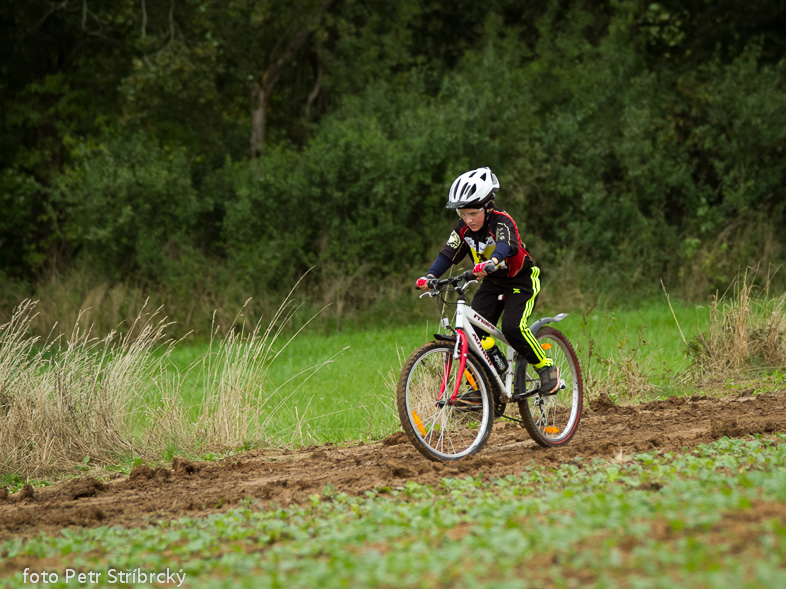 Fotografie číslo: 20130921-8942