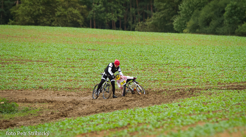 Fotografie číslo: 20130921-8979