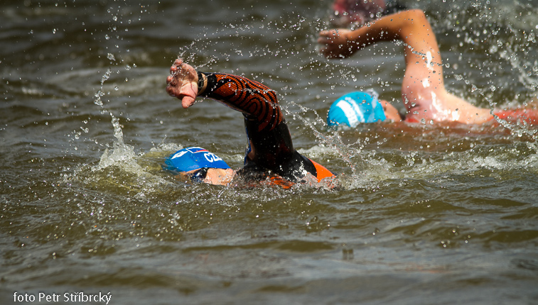 Fotografie číslo: 20130727-6728