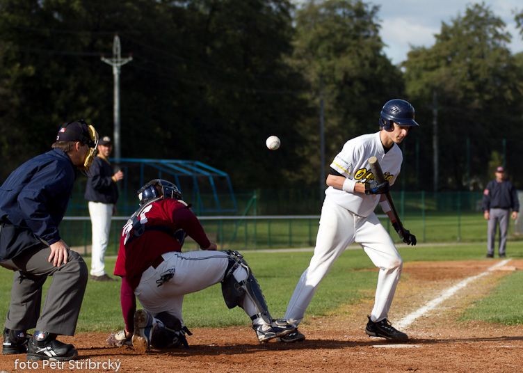 Fotografie číslo: 20111015-2900