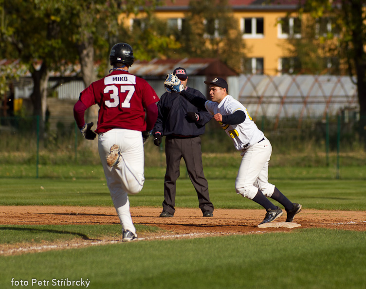 Fotografie číslo: 20111015-2968