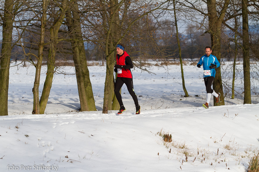 Fotografie číslo: 20170115-9474