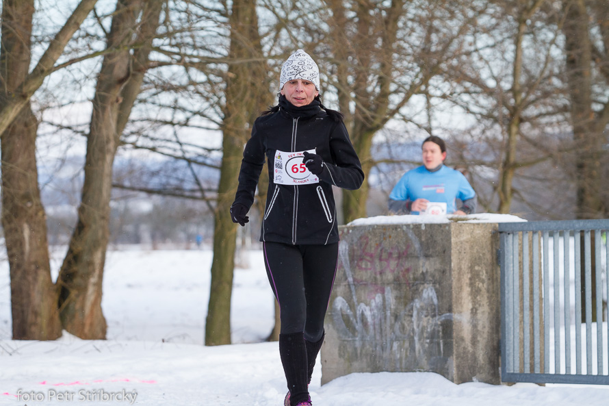 Fotografie číslo: 20170115-9506