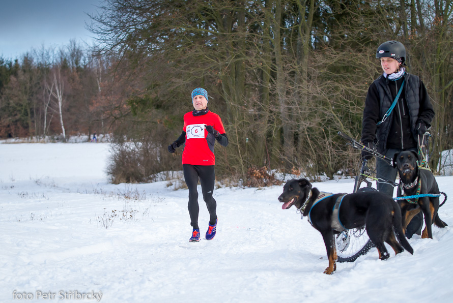 Fotografie číslo: 20170115-9553