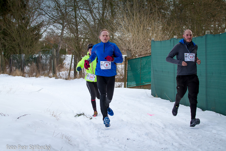 Fotografie číslo: 20170115-9635