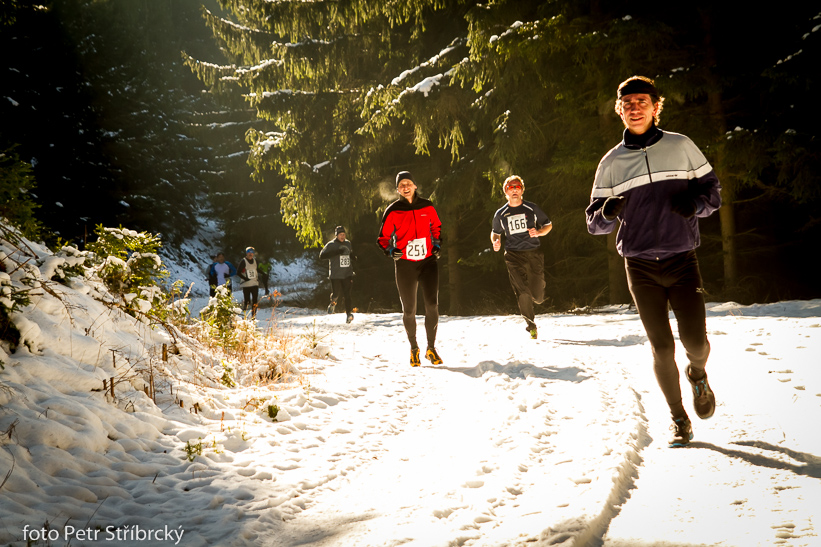 Fotografie číslo: 20150207-3308