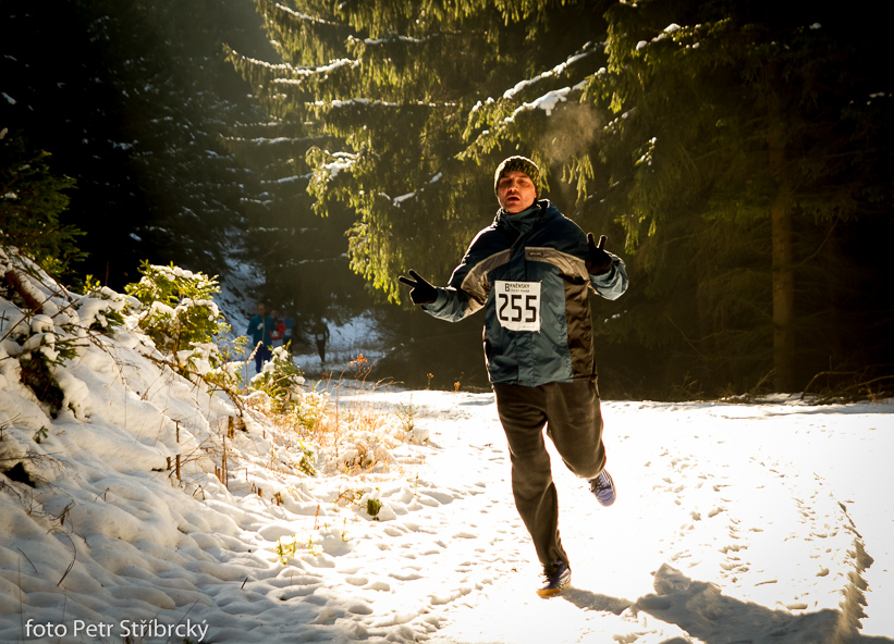 Fotografie číslo: 20150207-3325