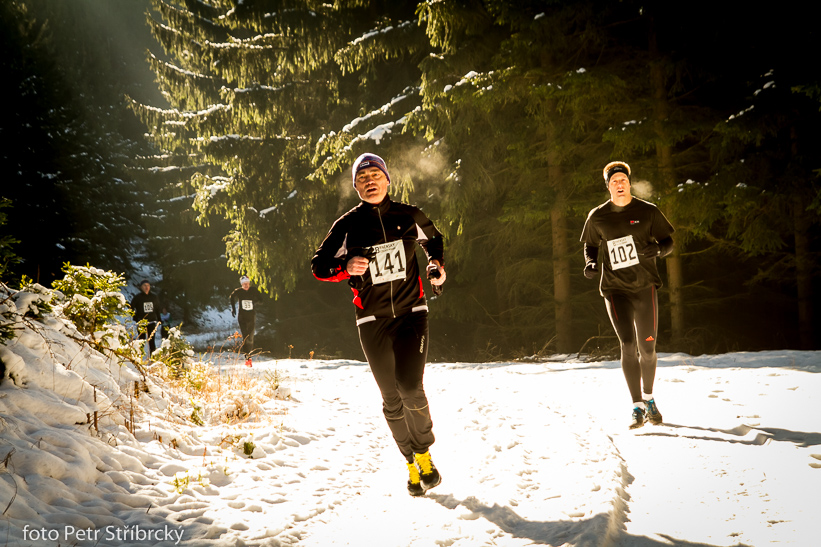 Fotografie číslo: 20150207-3341