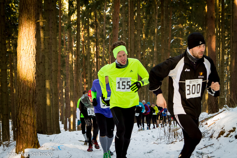 Fotografie číslo: 20150207-3017