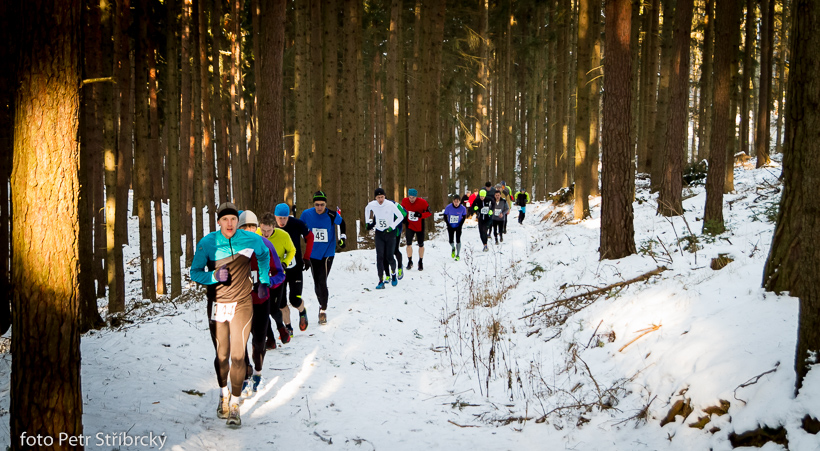 Fotografie číslo: 20150207-3018