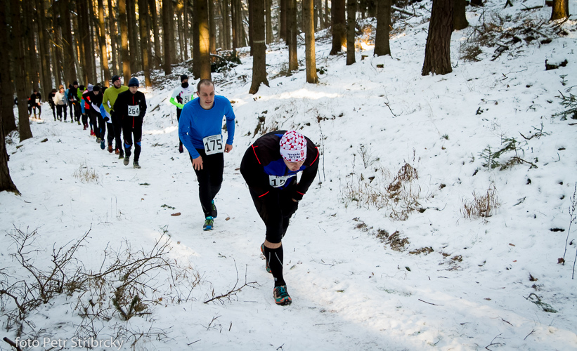 Fotografie číslo: 20150207-3024