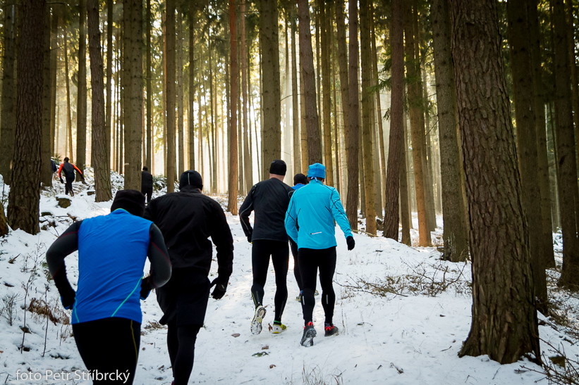 Fotografie číslo: 20150207-3033