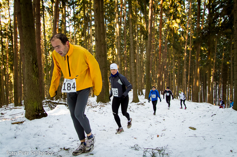 Fotografie číslo: 20150207-3081