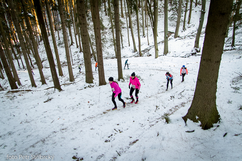 Fotografie číslo: 20150207-2864