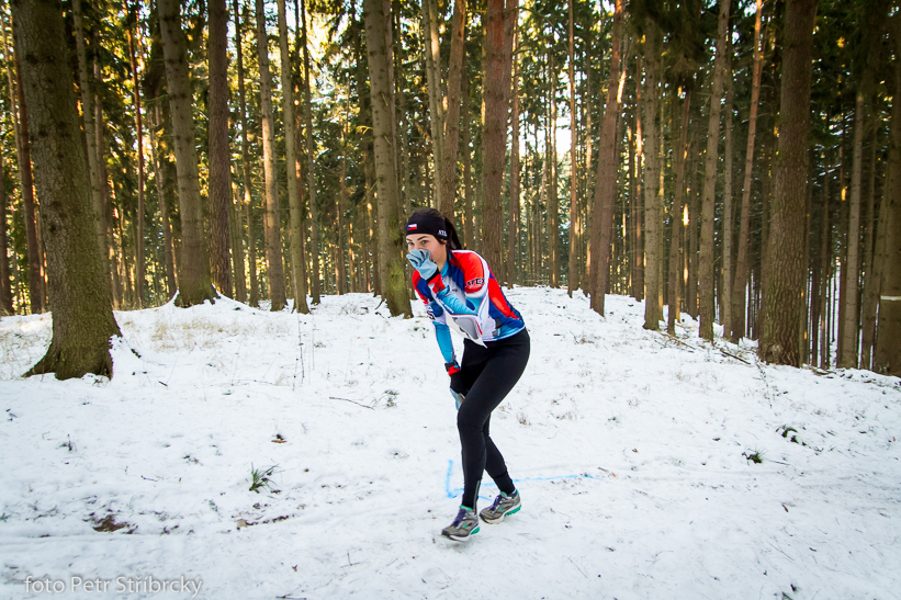 Fotografie číslo: 20150207-2866