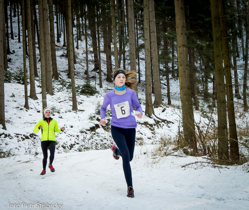 Fotografie číslo: 20150207-2893