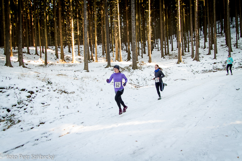 Fotografie číslo: 20150207-2903