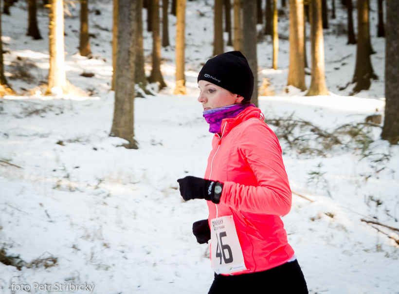 Fotografie číslo: 20150207-2913