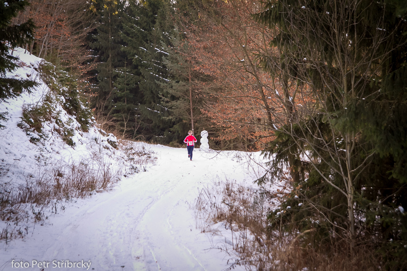 Fotografie číslo: 20150207-2944