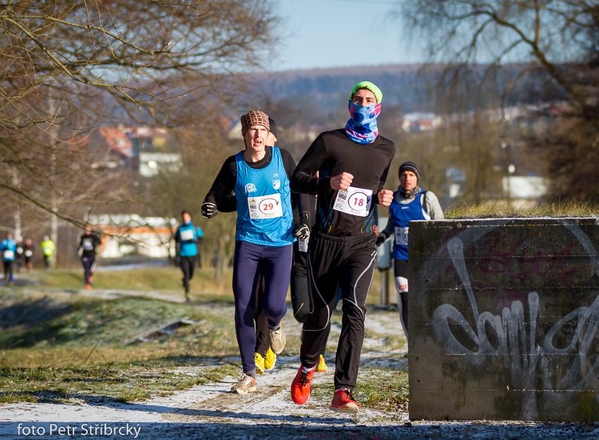 Fotografie číslo: 20160117-2866