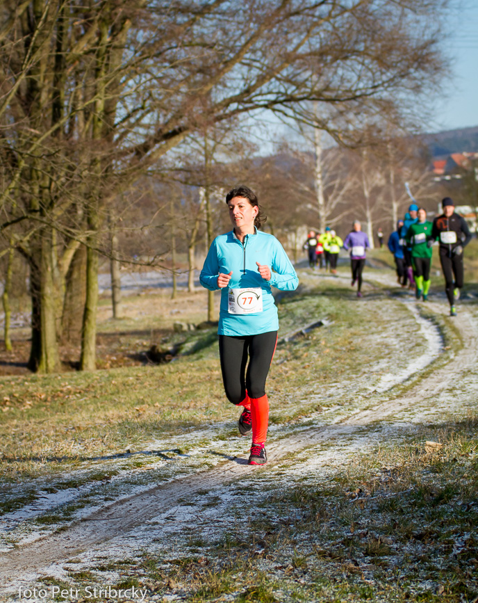 Fotografie číslo: 20160117-2899