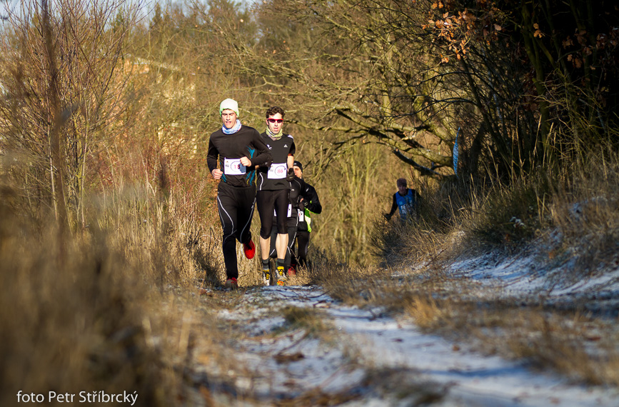 Fotografie číslo: 20160117-2988