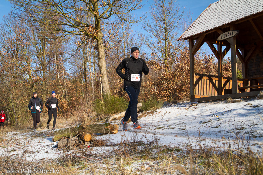 Fotografie číslo: 20160117-3111