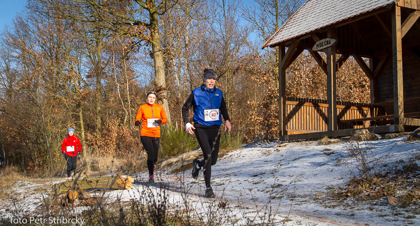 Fotografie číslo: 20160117-3178