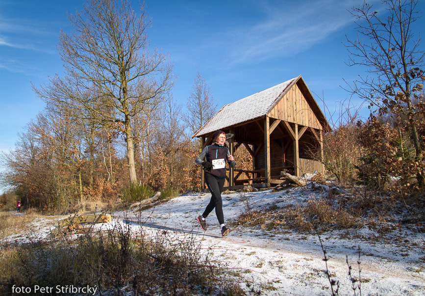 Fotografie číslo: 20160117-3184