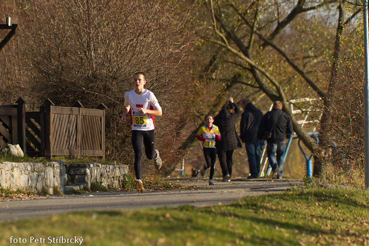 Fotografie číslo: 20111112-4770