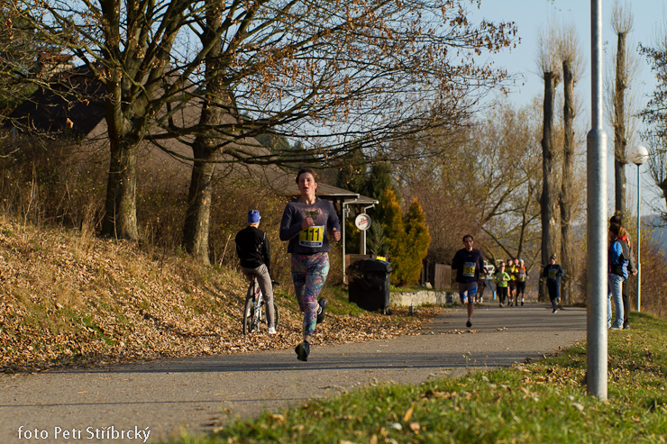 Fotografie číslo: 20111112-4805