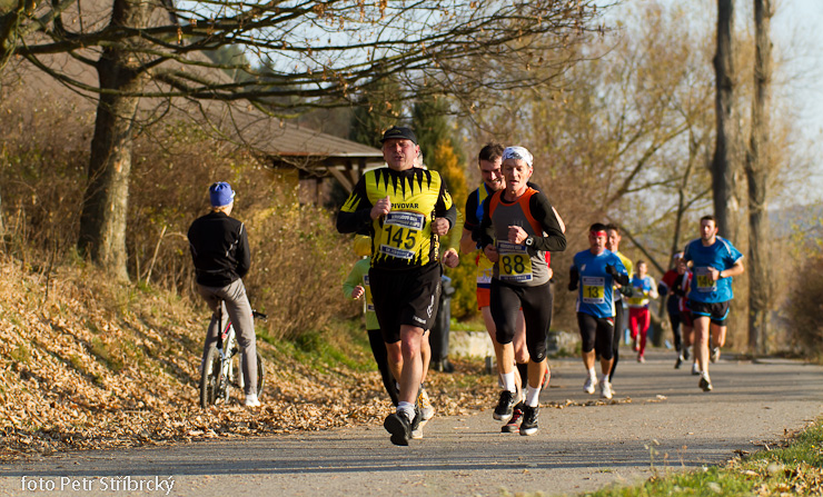 Fotografie číslo: 20111112-4812