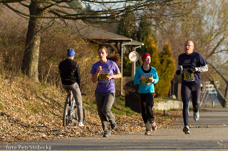 Fotografie číslo: 20111112-4824