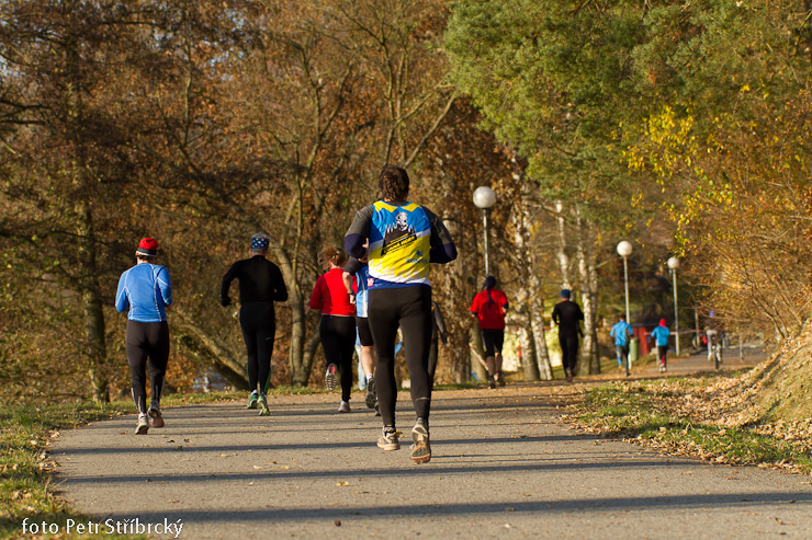 Fotografie číslo: 20111112-4856