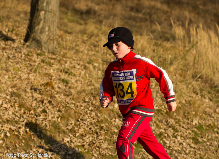 Fotografie číslo: 20111112-4857