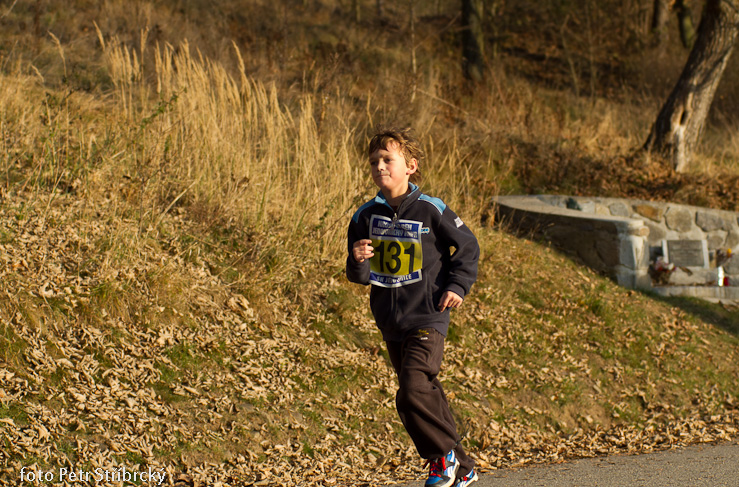 Fotografie číslo: 20111112-4874