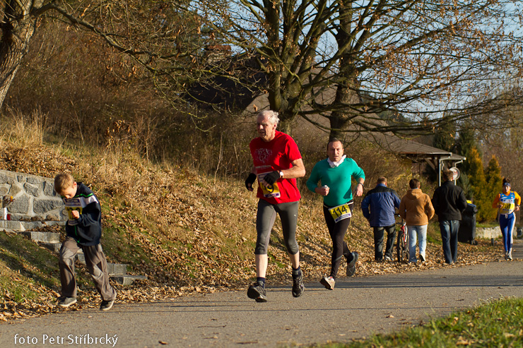 Fotografie číslo: 20111112-4877