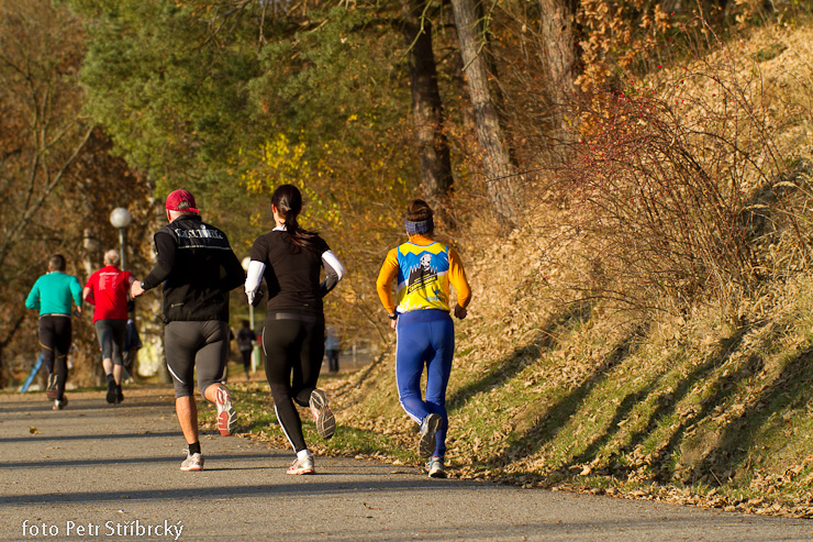 Fotografie číslo: 20111112-4881