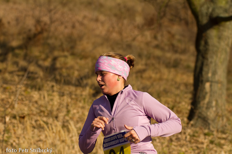 Fotografie číslo: 20111112-4898