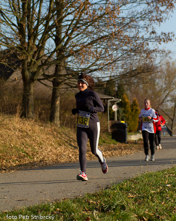 Fotografie číslo: 20111112-4900