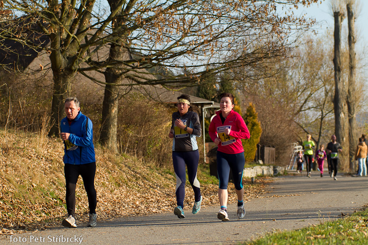 Fotografie číslo: 20111112-4911