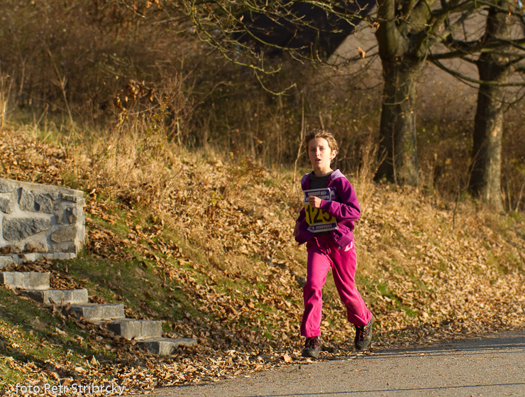 Fotografie číslo: 20111112-4914