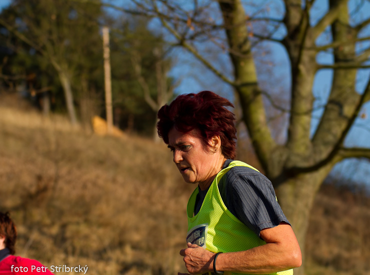 Fotografie číslo: 20111112-4918