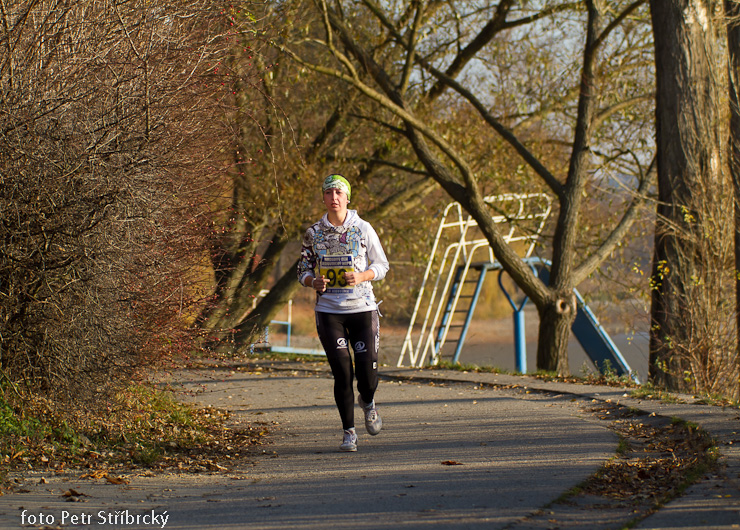 Fotografie číslo: 20111112-4940