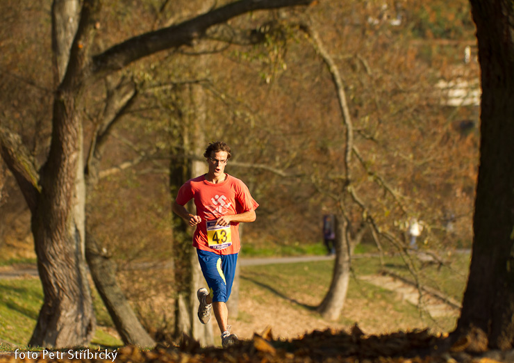 Fotografie číslo: 20111112-4962