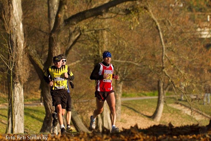 Fotografie číslo: 20111112-5021