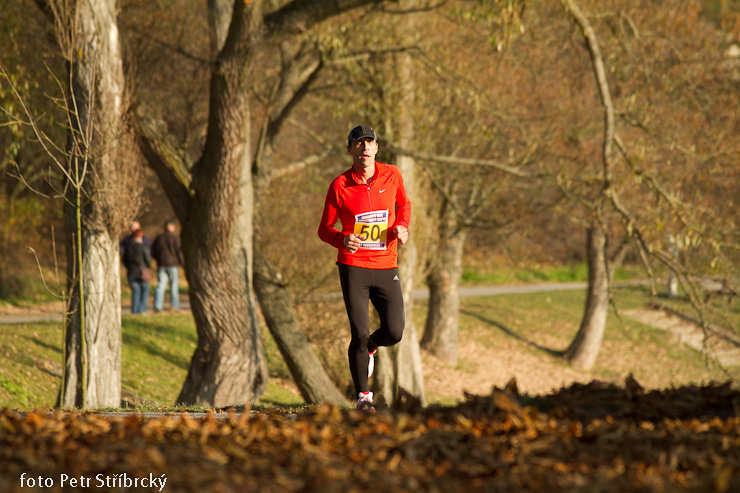 Fotografie číslo: 20111112-5031