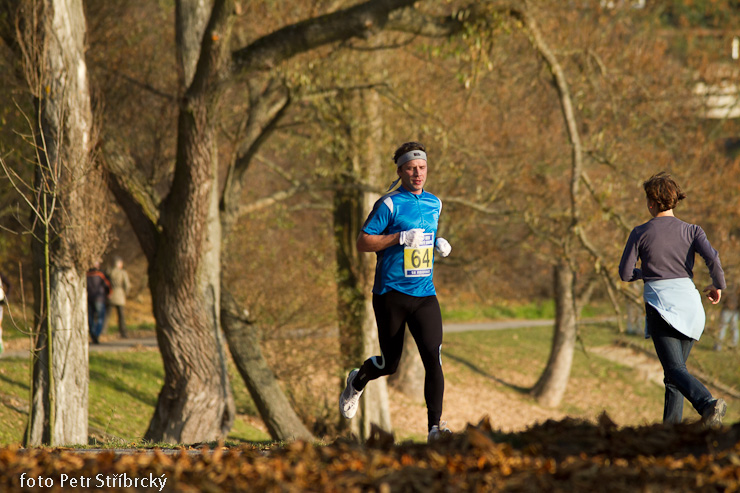 Fotografie číslo: 20111112-5038